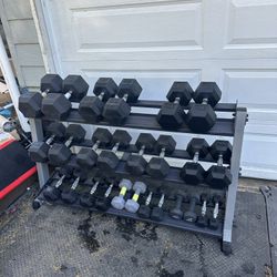 Dumbbell Set: 5 to 65lbs 