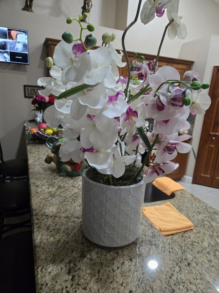 Ramo De Orquideas
