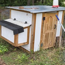 Chicken Coop