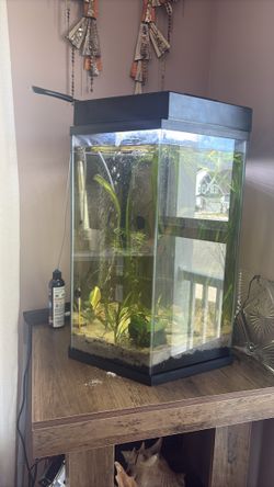 Fish tank