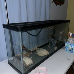 55 Gallon Tank 