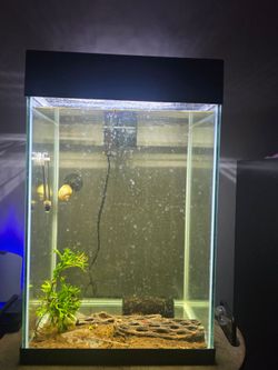Fish tank 10 gallons
