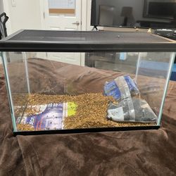 10 Gallon Fish Tank