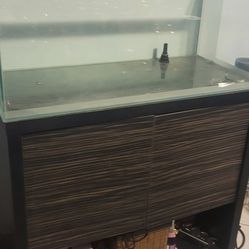 Saltwater Fish Tank