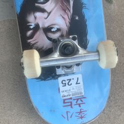 skateboards