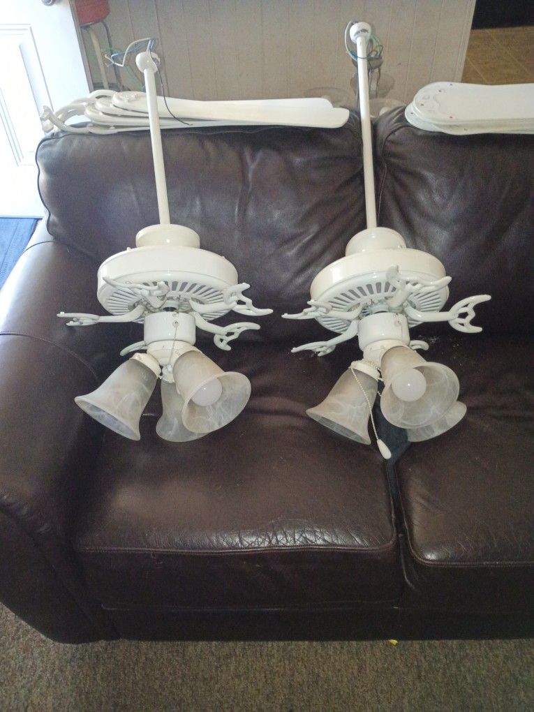 Ceiling Fans