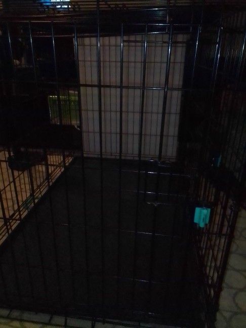XXL dog kennel