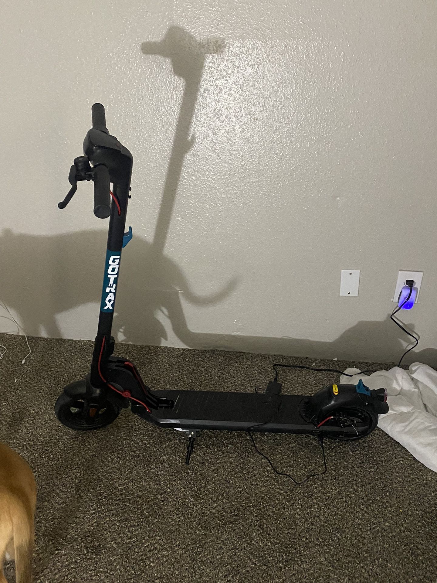 GoTrax Electric Scooter
