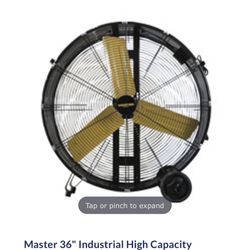Master 36 In Fan 