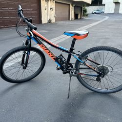 Giant XTC Junior mountain bike 24"