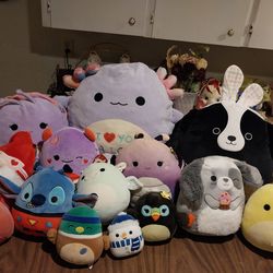 Squishmallow Lot