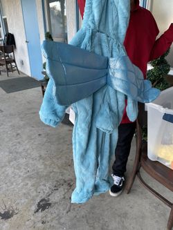 Hummingbird Costume