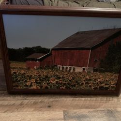 Pictures And Mirrors 