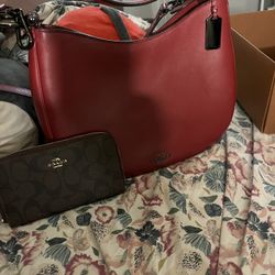 Purse 
