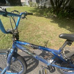 Genesis BMX Bike 20’ Inch