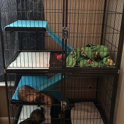 Ferret cage and supplys