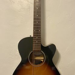 Seagull S12 12 String Guitar 