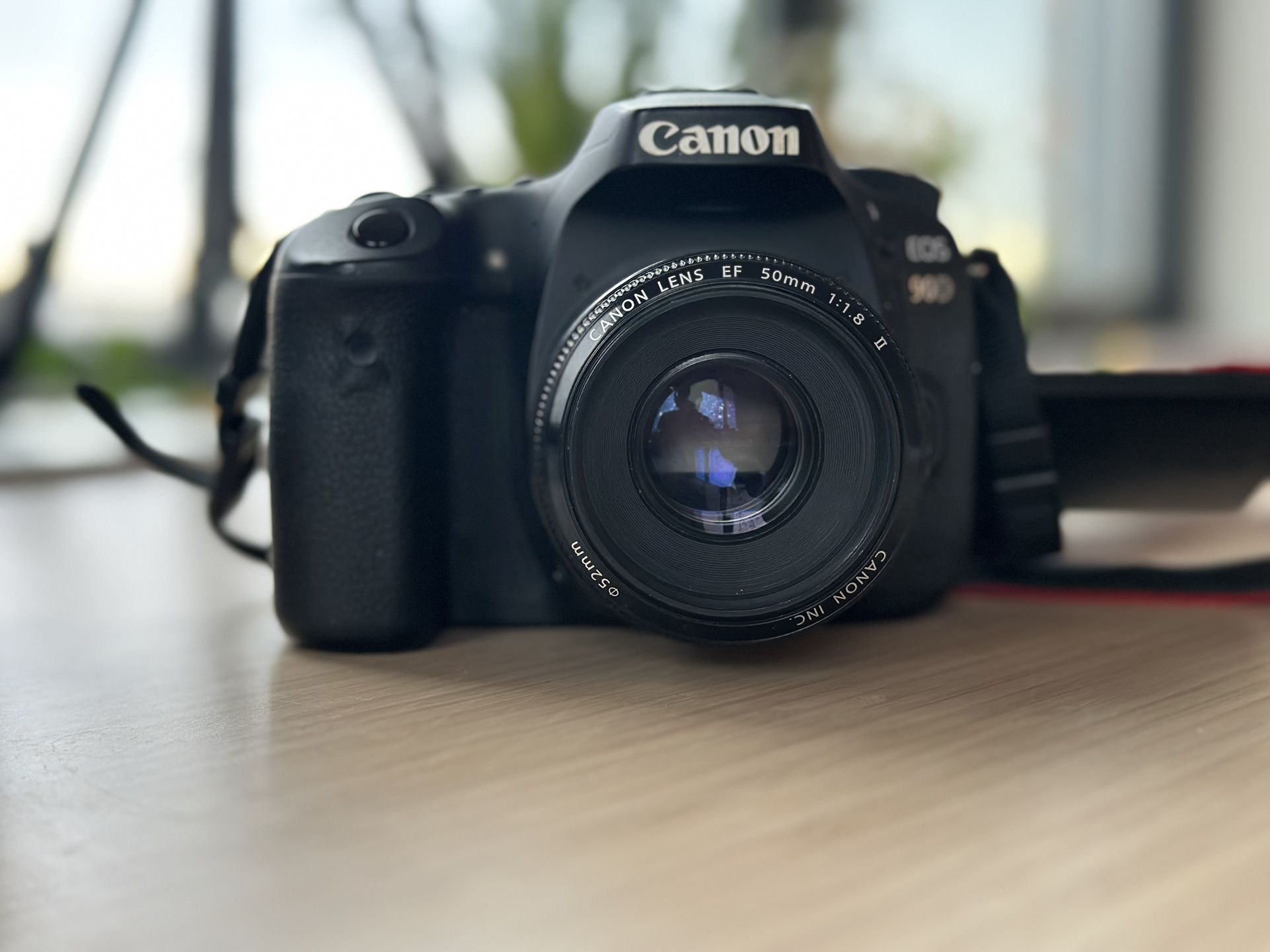 Canon EOS 90d and 50mm pf 1.8 prime lens