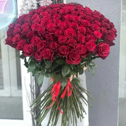 Red roses