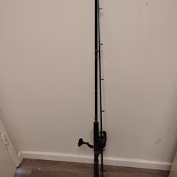 Fishing Rod And Reel