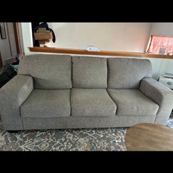 2 Gray Couches 