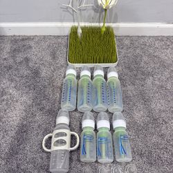 Free Dr Brown’s Bottles And Bottle Drying Rack