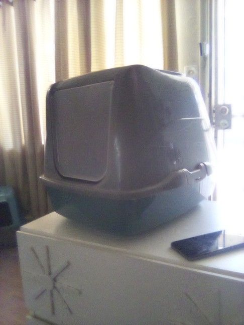 Kitty Litter Box