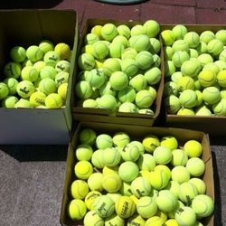 Used Tennis Balls