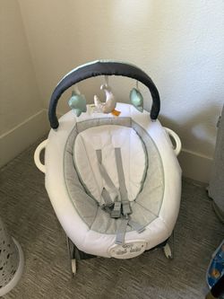 bouncer swing