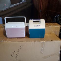 2 Mini Coolers