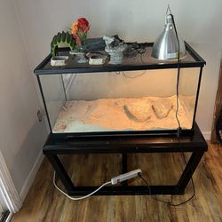 Lizard Tank Set Up And Accessories 