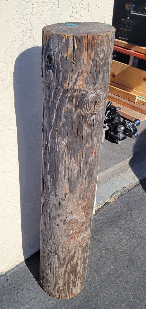 Log Good For Wood Carving Projects