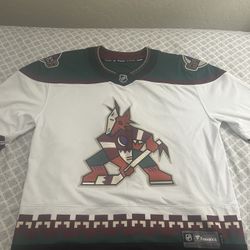 Arizona Coyotes Fanatics Breakaway Jersey Large . 