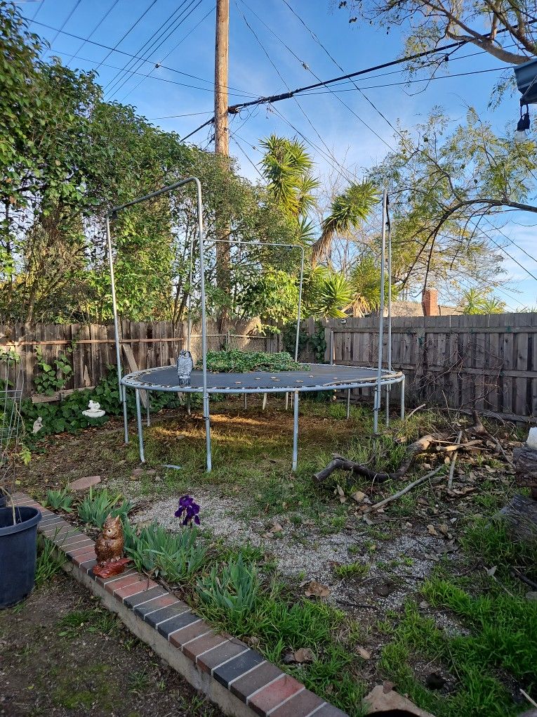 Free Trampoline