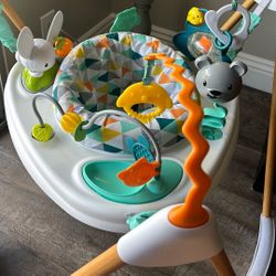 Evenflo Bouncer 