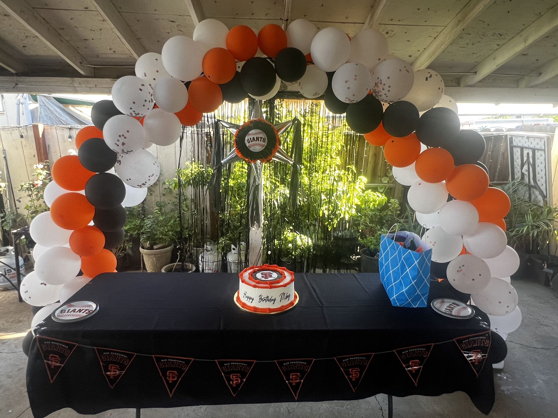 Balloon Arch Set ups