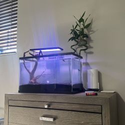 Fish Tank 10 Gallon 