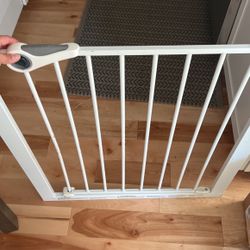 Dog Door 