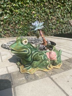 DECORATIVE PLANT