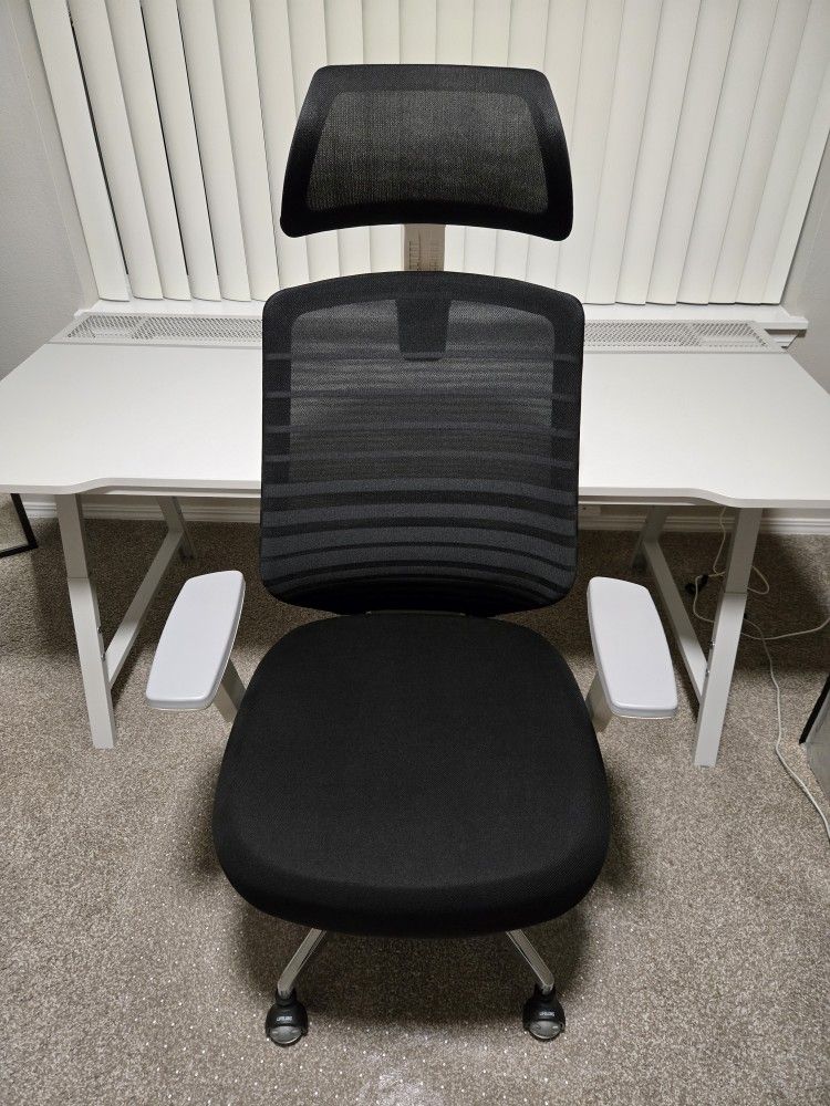 Branch Ergonomic Chair