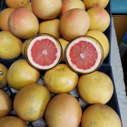 Organic Homegrown Red Grapefruit 