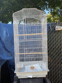 Bird cages