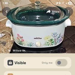 Crock Pot