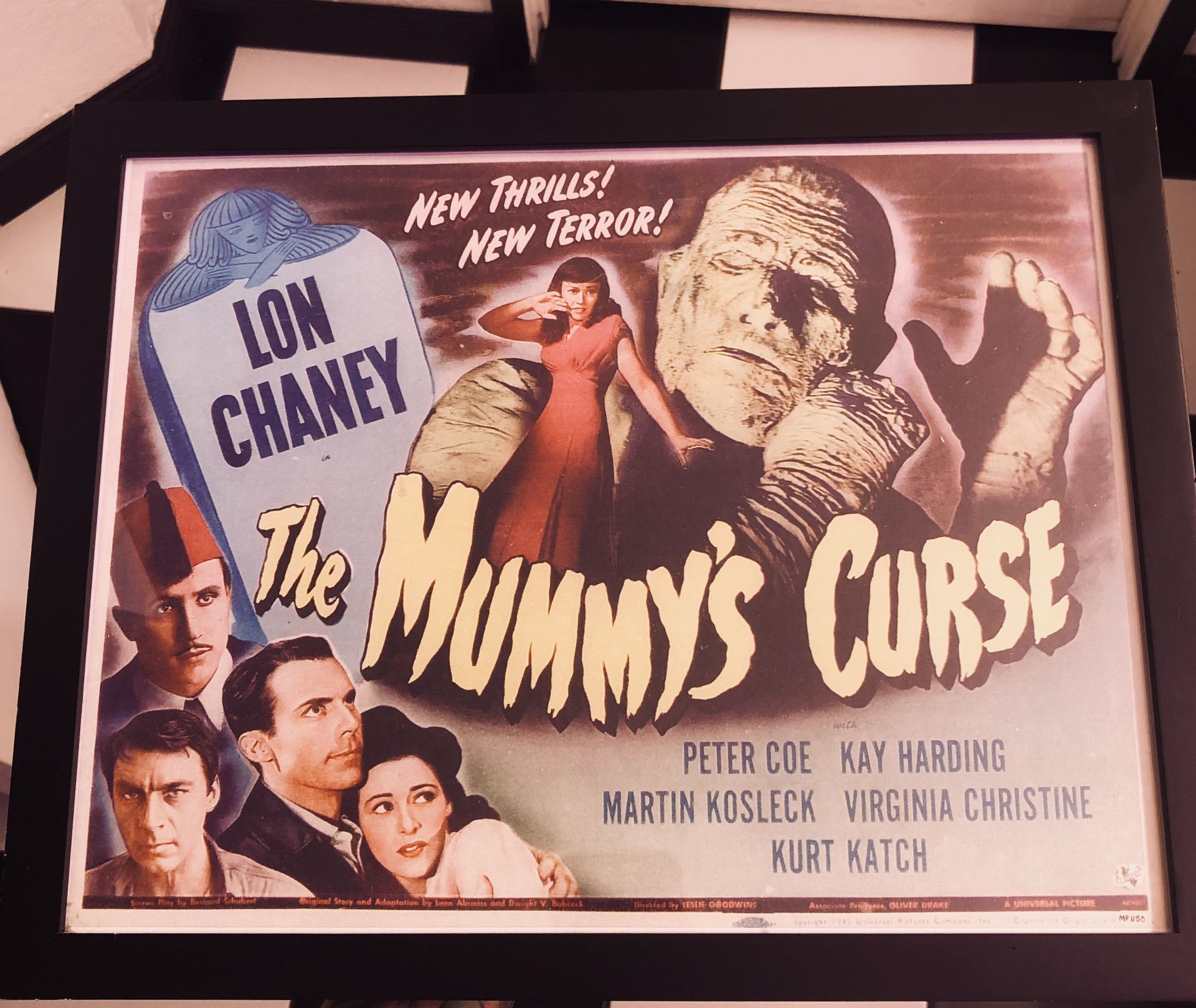 Framed Classic Horror The Mummy’s Curse Dracula Frankenstein Universal 1 ft x 15in