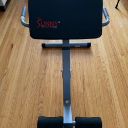 Back Extension Machine 