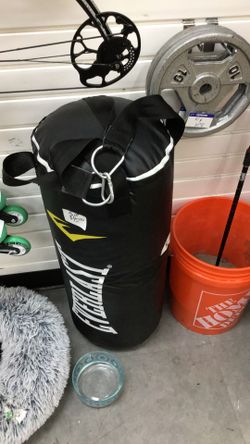 Everlast punching bag