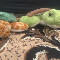 Turtle Plushie 