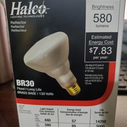 Halco Light Bulb 