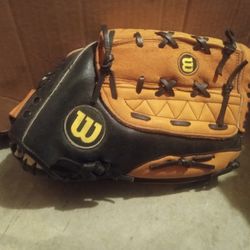 Wilson AO 360 Baseball Softball Glove