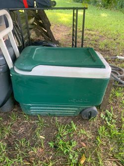 Igloo Cooler